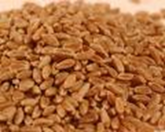 Picture of Wheat (Godumalu) 1KG