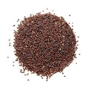 Picture of Fine Mustard 100 Gm Pouch