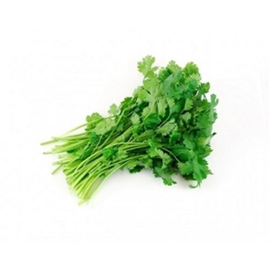 Picture of Coriander  1 nos