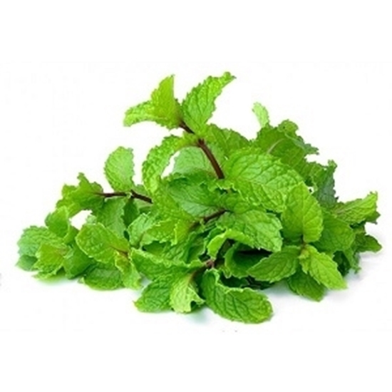 Picture of Mint (pudina)  1 nos