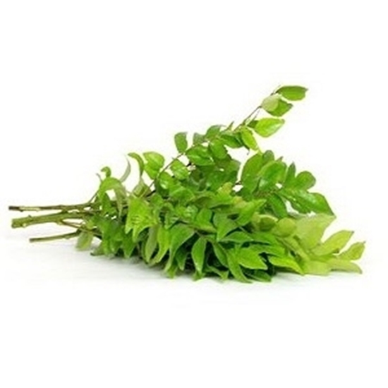 Picture of Curry leaves 1 nos